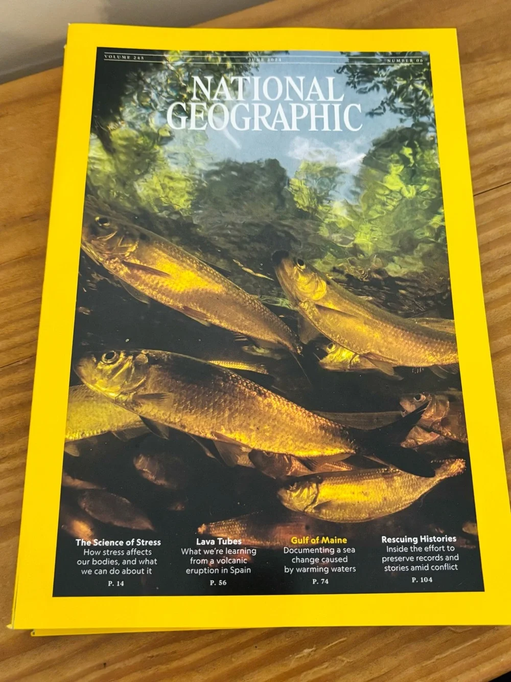 💥 2024 National Geographic Set: March, April, May, June, July, August, October